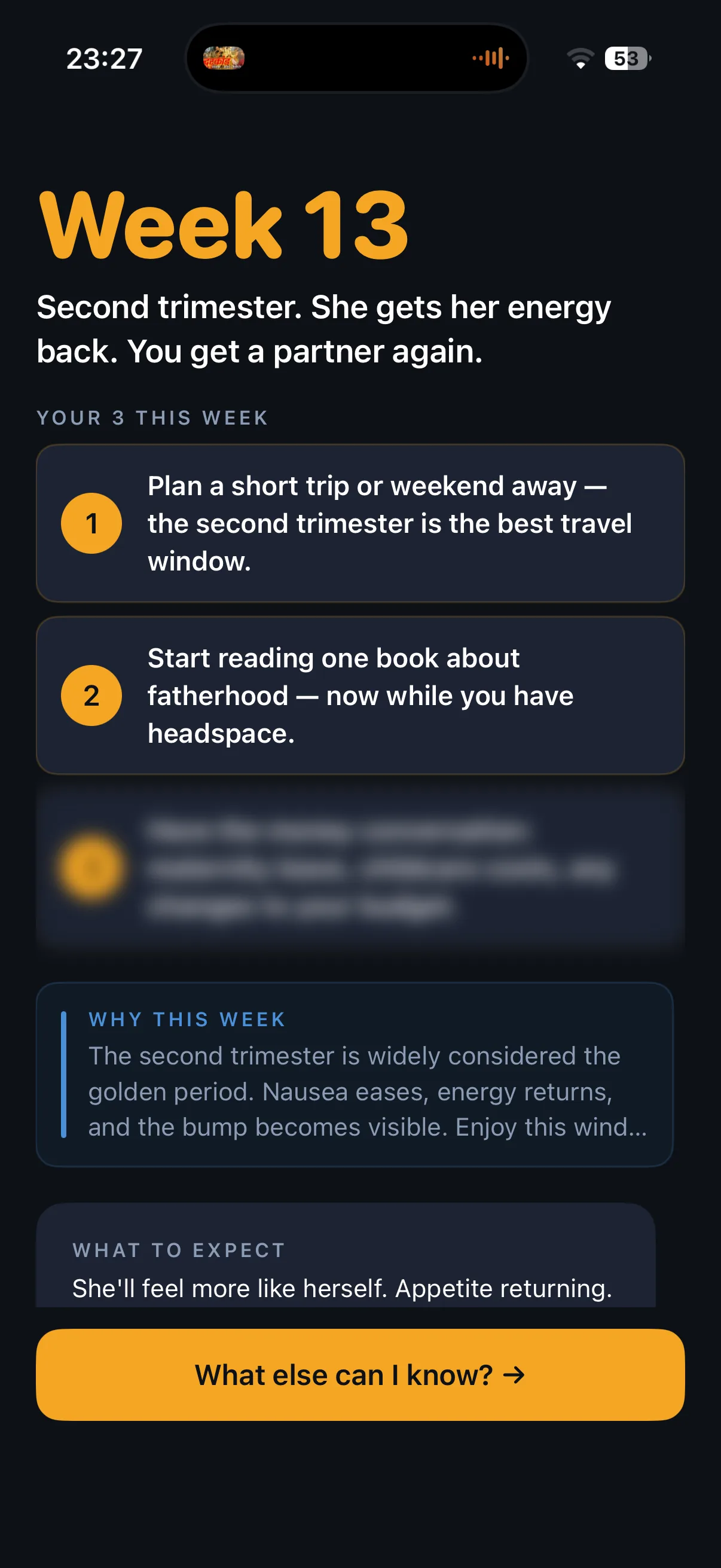 Dadly Week 13 weekly brief for expecting dads with three action items