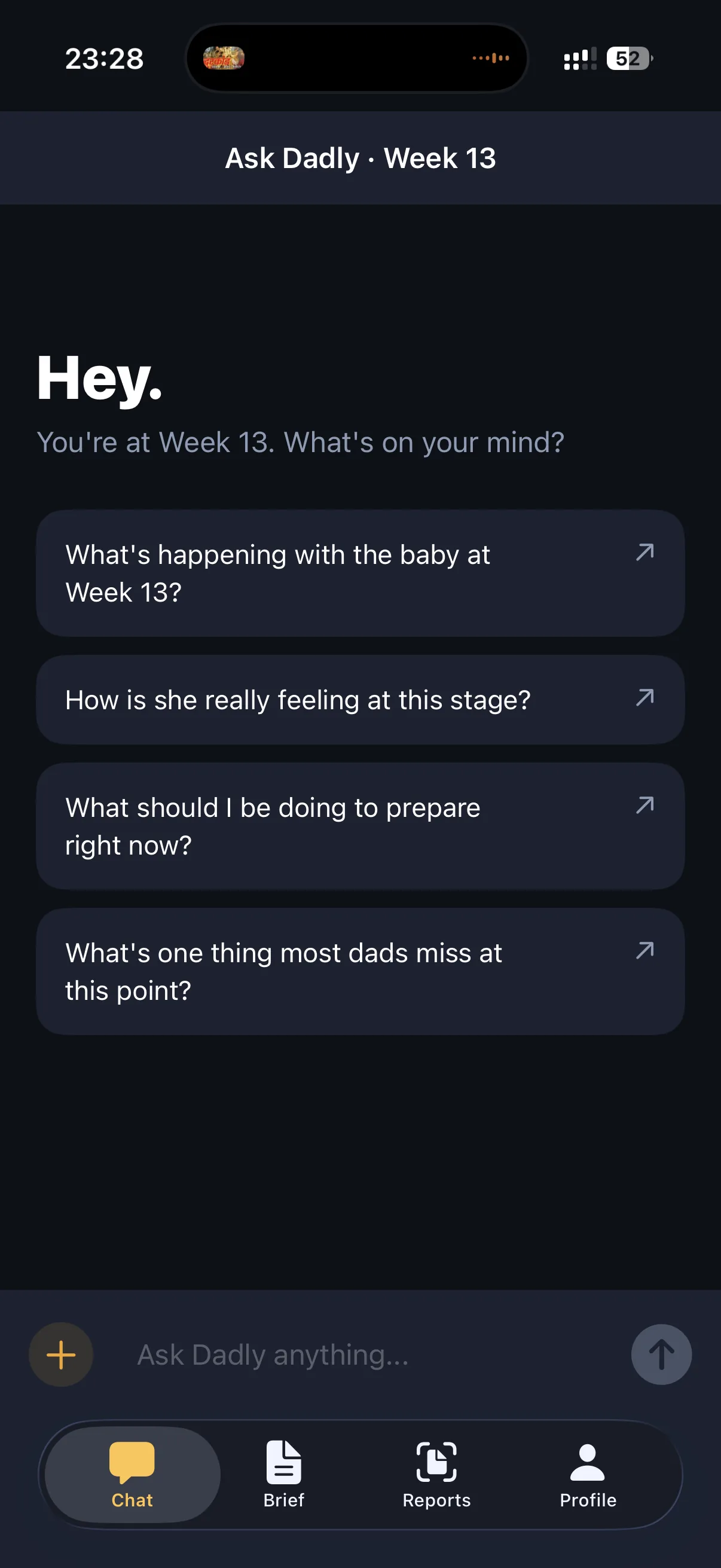 Dadly chat home — dad-specific pregnancy questions for Week 13